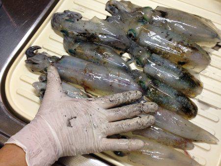 雨でも釣れた